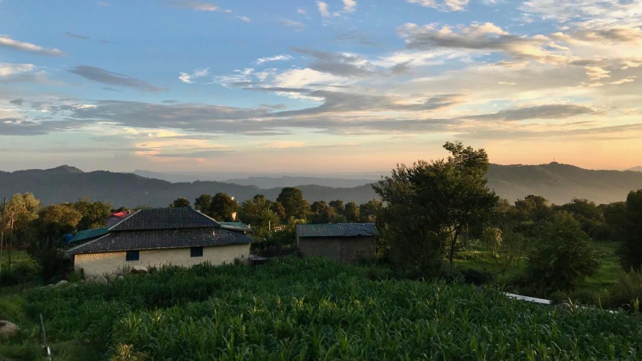 Bir Nest Hostel Kültér fotó