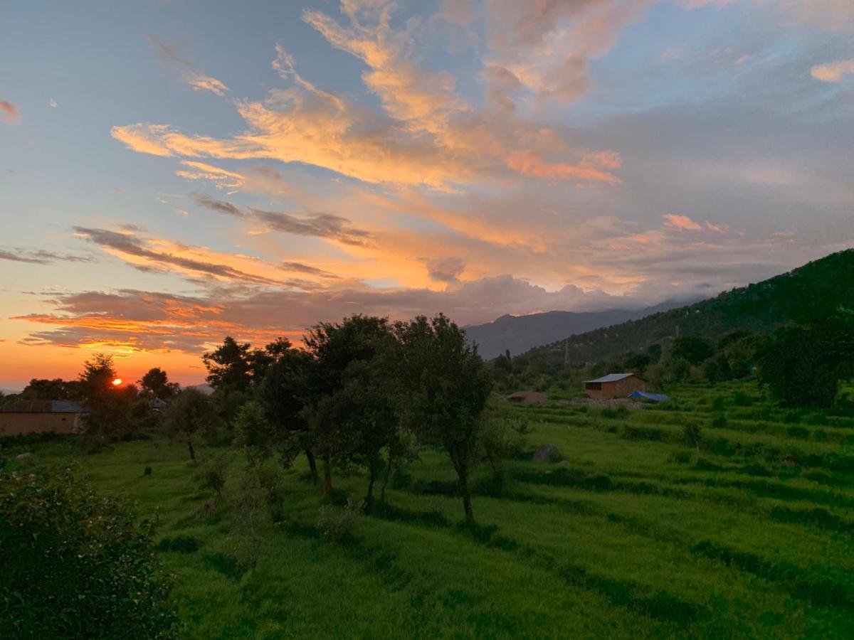 Bir Nest Hostel Kültér fotó
