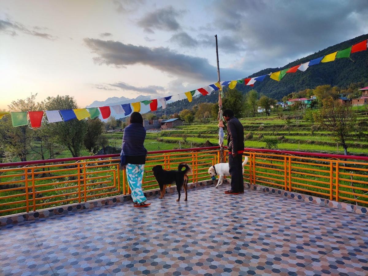 Bir Nest Hostel Kültér fotó